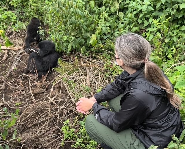Gorilla trekking in Rwanda