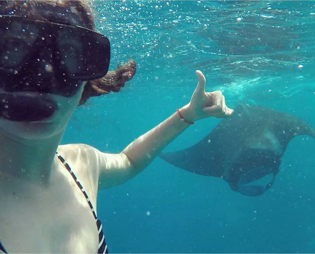 Swimming with manta rays in the Maldives