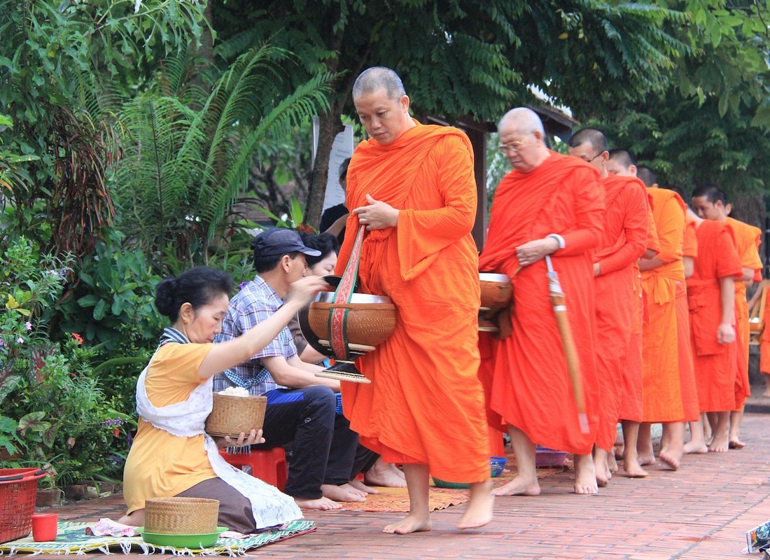 Early morning alms-giving ceremony Luang Prabang saffron monks Laos