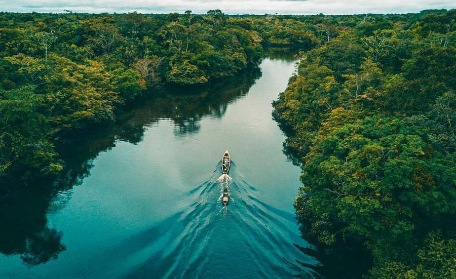 Amazon Jungle Expedition