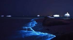 Bioluminescent beach Maldives glowing waves