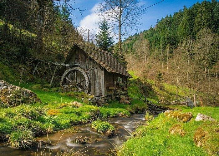 Black Forest Schwarzwald hiking trail Germany