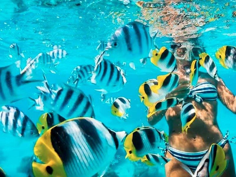 Cartagena Island Hopping & Snorkeling