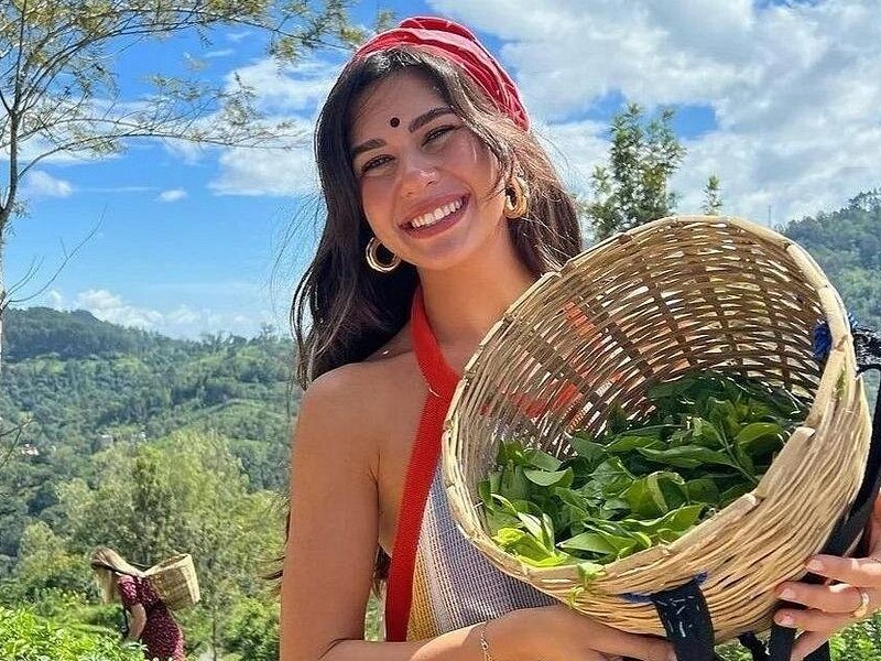 Tea plantation Sri Lanka