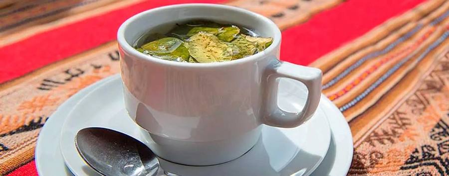 Drink Coca Tea in Cusco