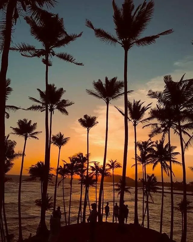Coconut Tree Hill Mirissa sunset