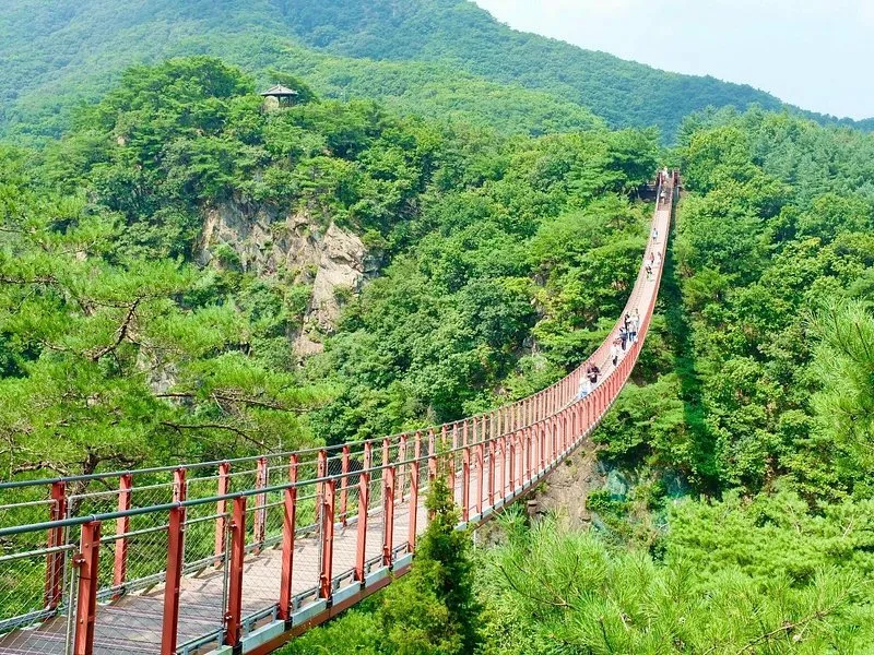 DMZ demilitarized zone Korea border Panmunjom Joint Security Area South Korea North Korea
