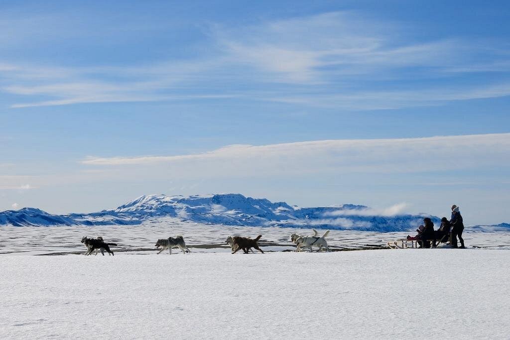 Dog Sledding across the Arctic