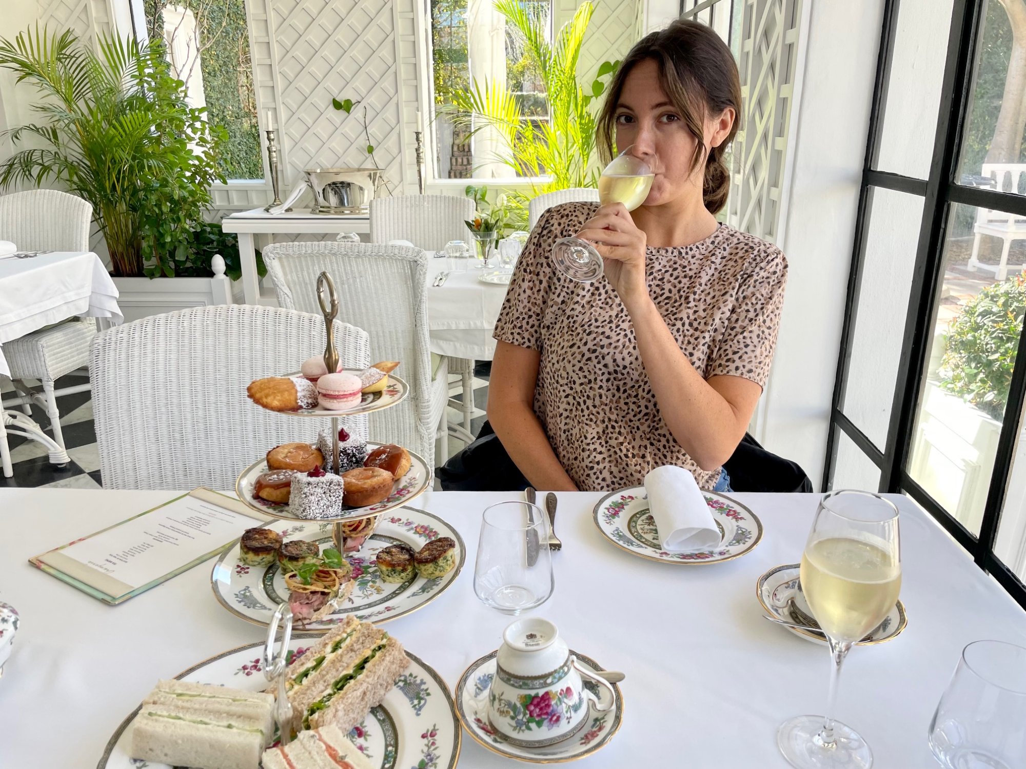 Wine tasting in the Cape Winelands Stellenbosch Franschhoek