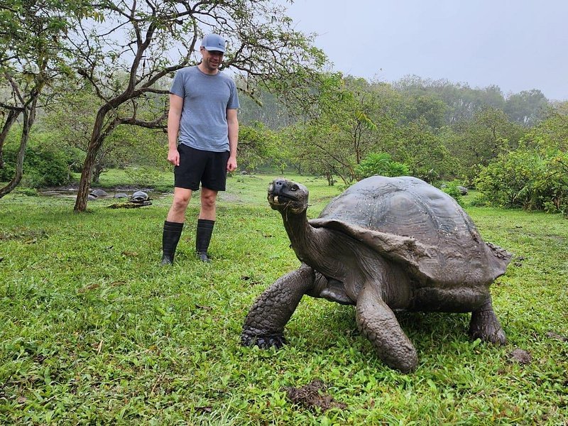 Giant tortoise 150 year old Galapagos Santa Cruz