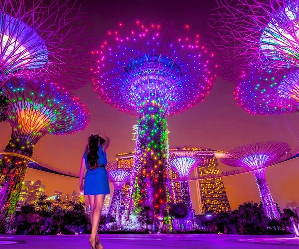 Gardens by the Bay Supertrees illuminated at night Singapore