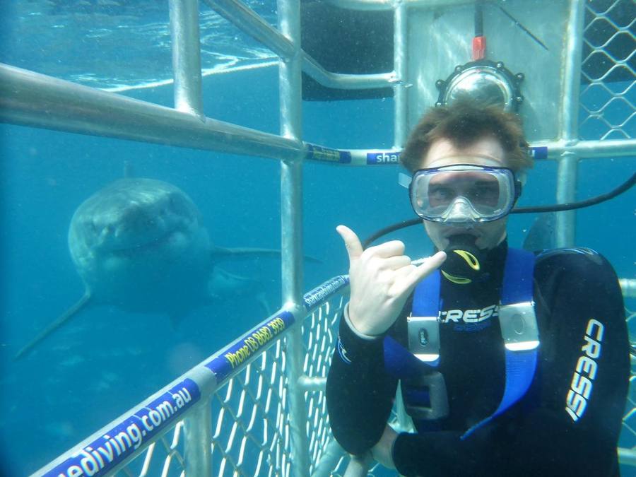 Shark Cage Diving