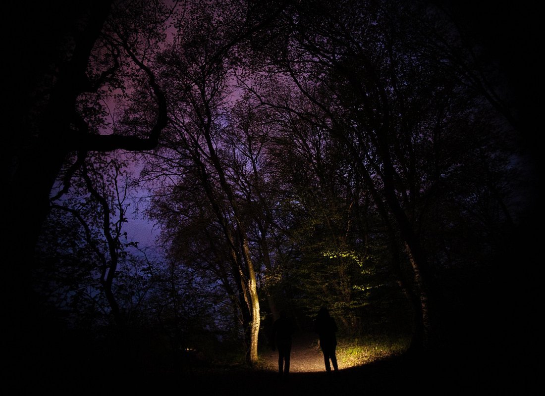 Hoia Baciu haunted forest night tour Cluj-Napoca Romania