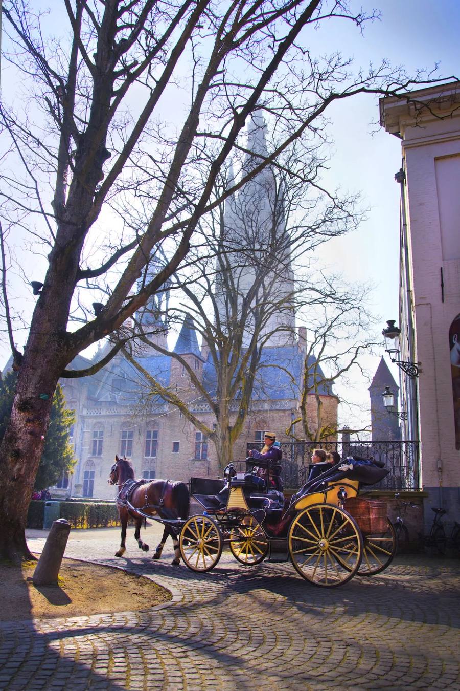 Horse-Drawn Carriage Ride Bruges