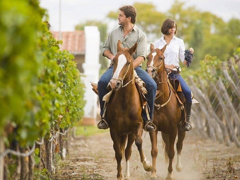 Horseback riding Mendoza vineyards Andes Argentina