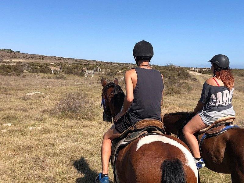 Horseback Safari, Serengeti