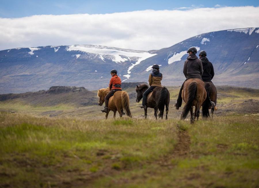 Viking Horseback Riding