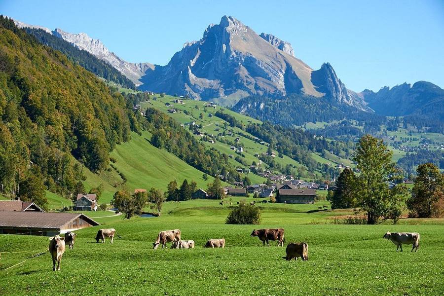 Day Trip to Liechtenstein