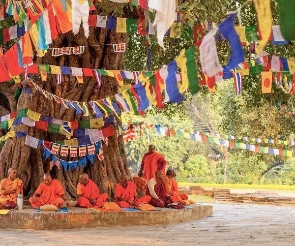 Buddhist monks meditating under Bodhi tree Lumbini Nepal prayer flags