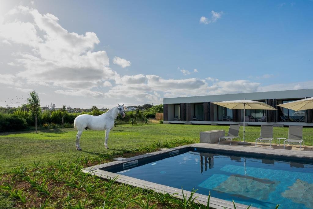 Lusitano Garden Villas Ponta Delgada Azores pool horse