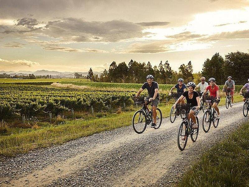 Marlborough Wine Tour New Zealand