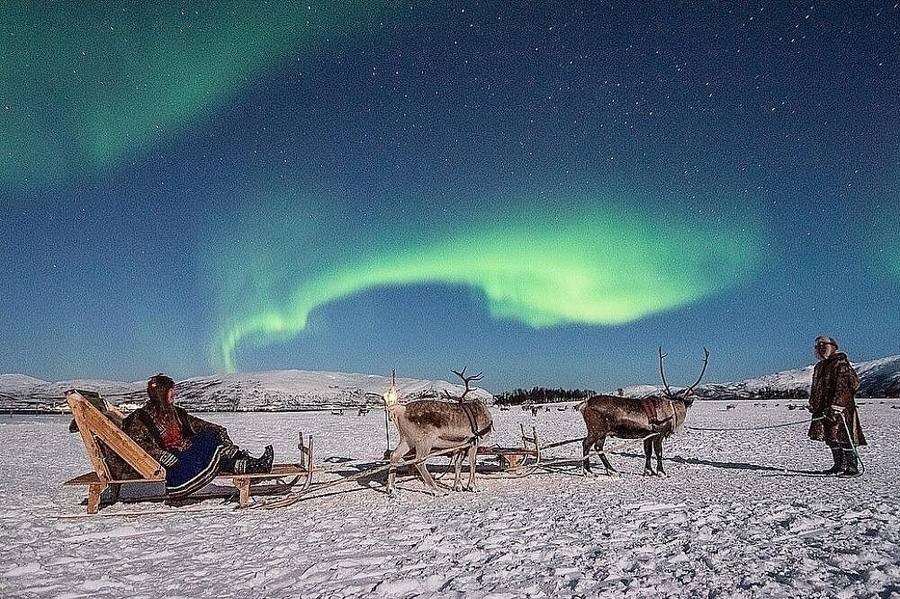 Northern Lights Reindeer Sled Ride