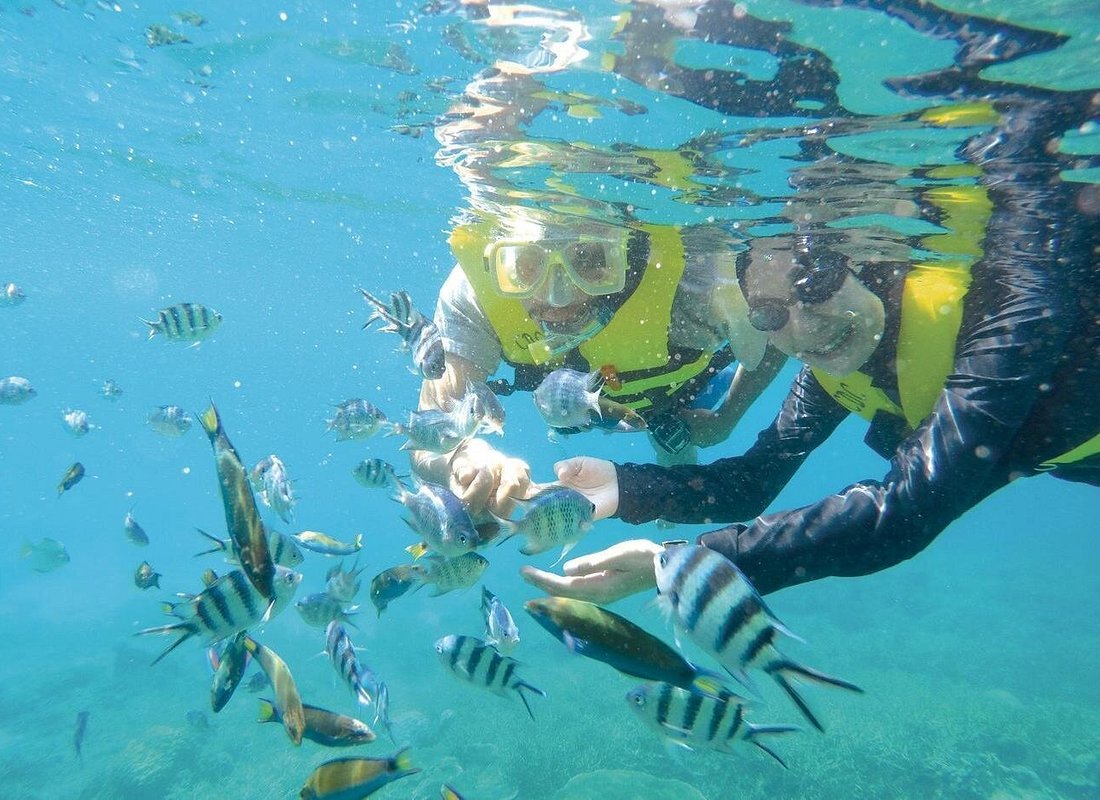 Perhentian Islands snorkeling Malaysia tropical fish coral reef turquoise water