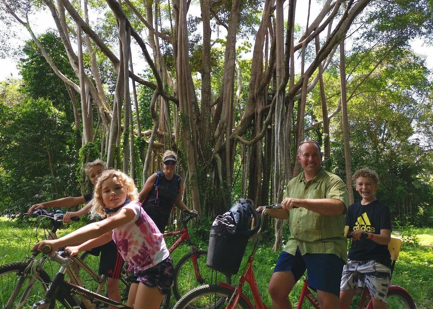 Pulau Ubin cycling family Singapore banyan tree