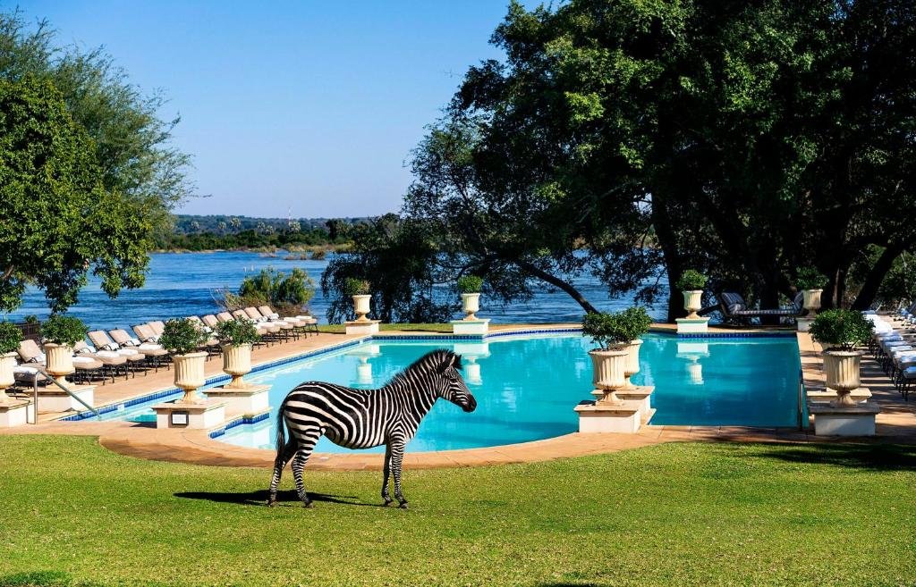 The Royal Livingstone Hotel by Anantara Zambia zebra pool Zambezi