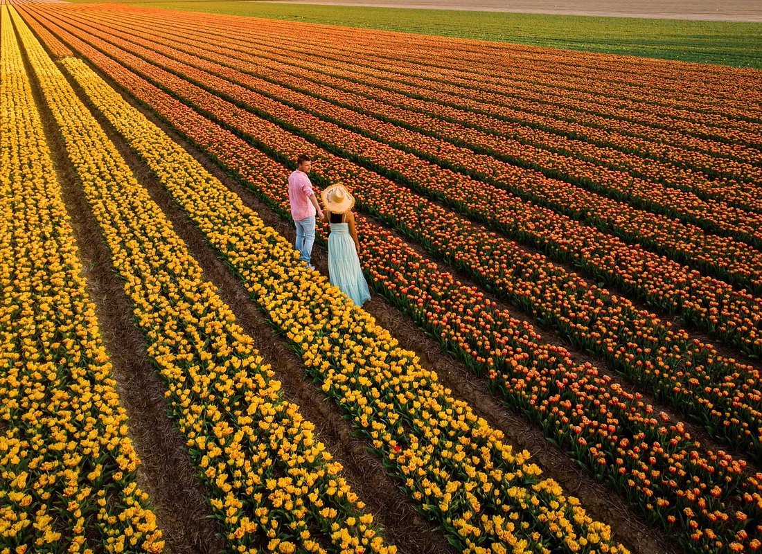 Netherlands travel guide