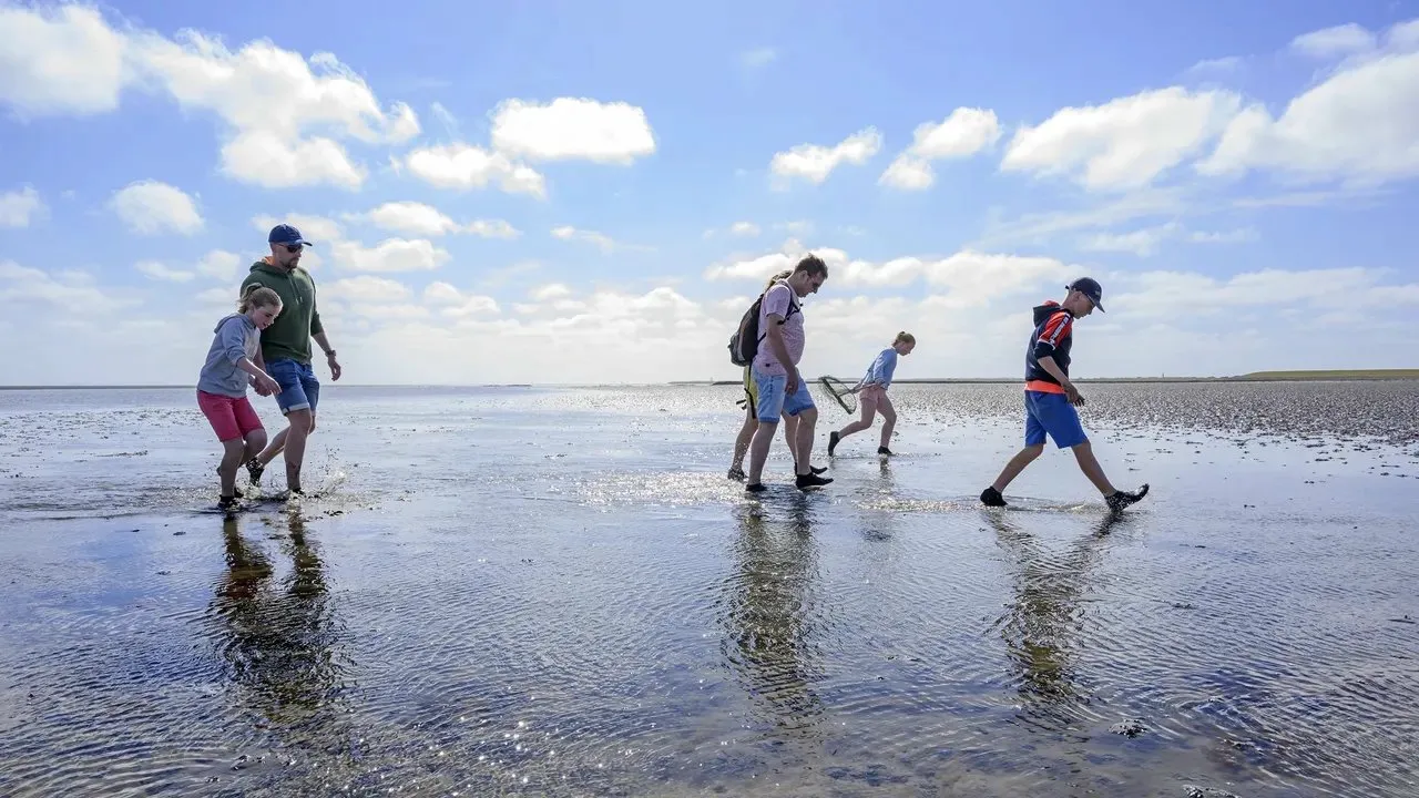 Wadden Sea mudflat walking wadlopen Netherlands Frisian Islands UNESCO tidal flats