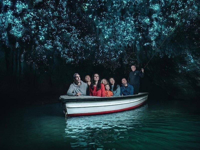 Waitomo Glowworm Cave Boat Ride