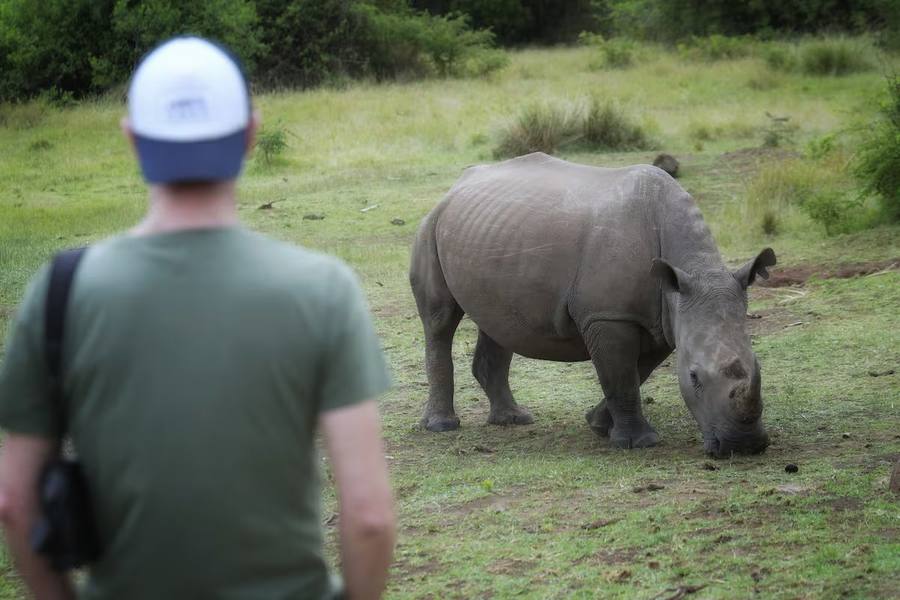 White Rhino Ol Chorro Sanctuary