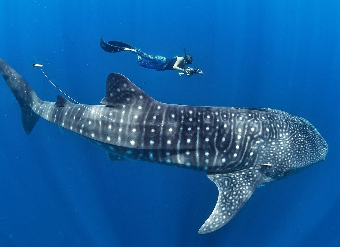 Philippines travel guide